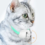 Pet laser cat teasing collar USB charging intelligent electric version adjustable size cat interactive product - 1pc