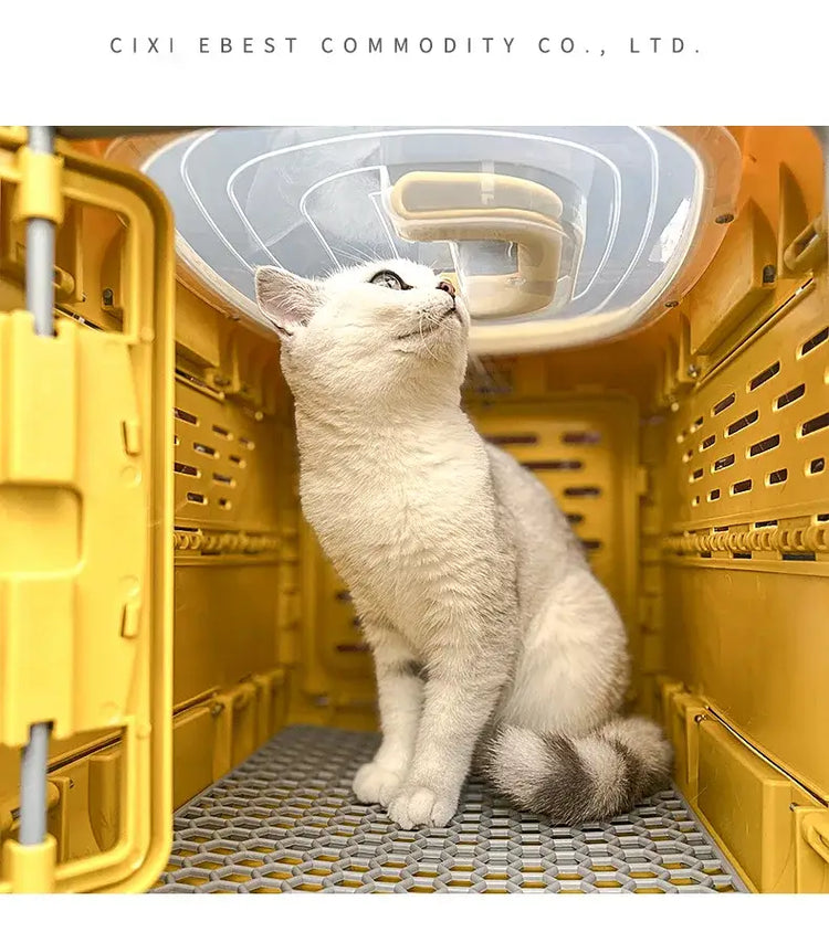 Pet Supplies Car Portable Cat Cage Portable Foldable Flight Case Breathable Kennel For Outing Pet Check-in Box