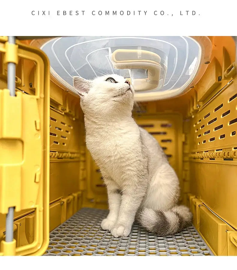 Pet Supplies Car Portable Cat Cage Portable Foldable Flight Case Breathable Kennel For Outing Pet Check-in Box
