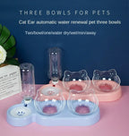 Pet SuppliesElevated Bowls For Cats And Durable Double Cat And Dog Bowl FeedersElevated Cat Feeding And Drinking
