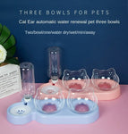 Pet SuppliesElevated Bowls For Cats And Durable Double Cat And Dog Bowl FeedersElevated Cat Feeding And Drinking