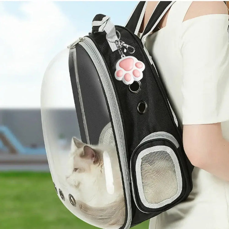 Pet Toys Cat USB Rechargeable Multifunctional Pet Laser Toy For Cats Interactive Funny Kitten Training Laser Toy Cat
