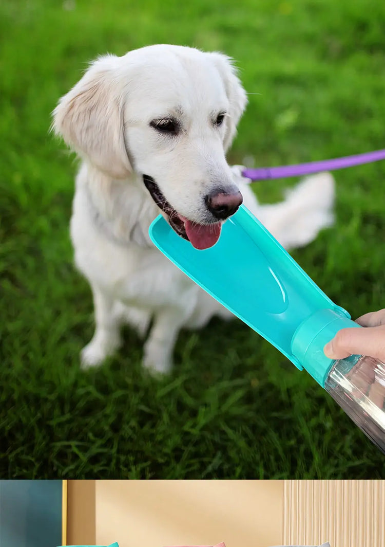 Portable Dog Water Bottle Dispenser For Small Large Dogs Foldable Puppy Outdoor Hiking Drinking Bowl French Bulldog Pet