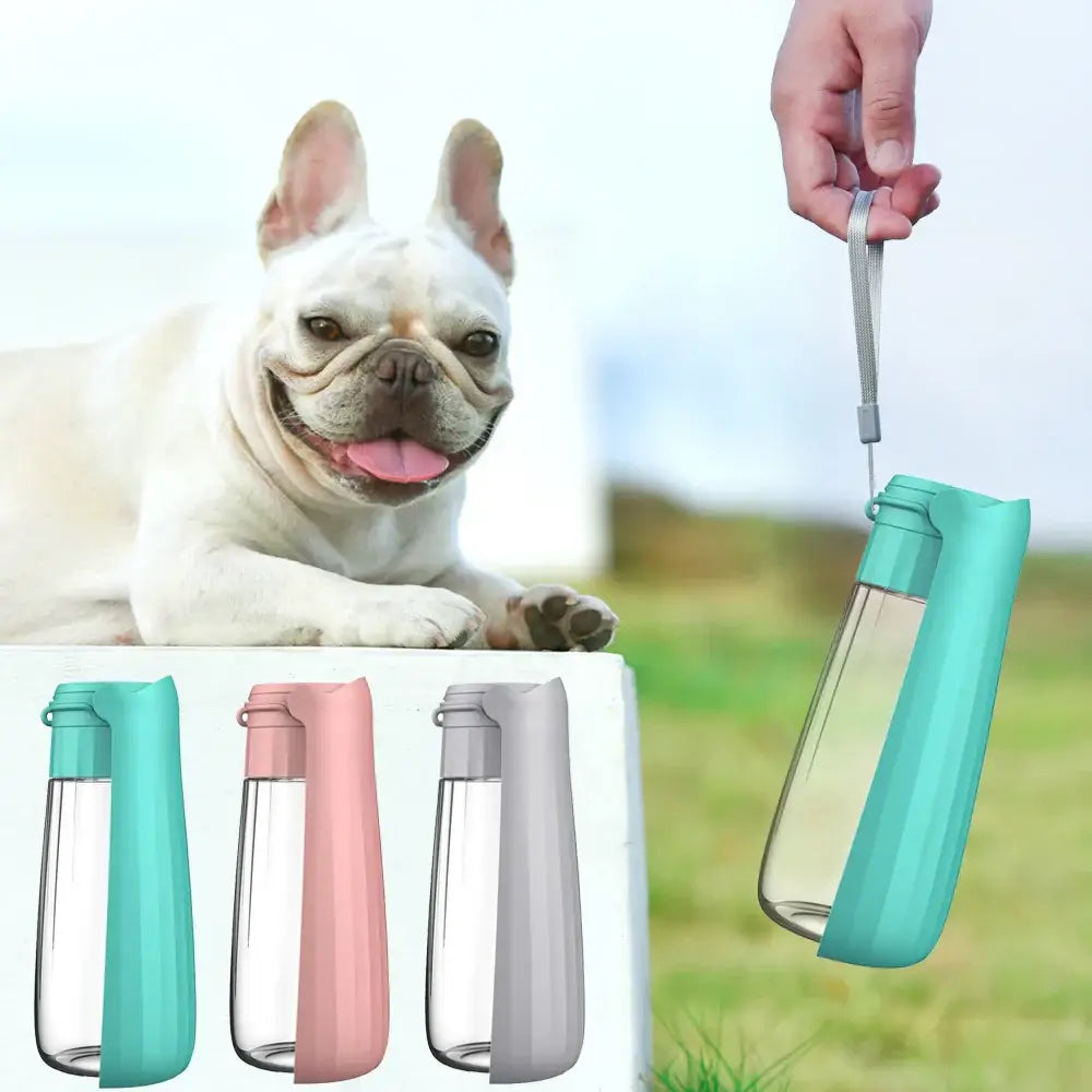 Portable Dog Water Bottle Dispenser For Small Large Dogs Foldable Puppy Outdoor Hiking Drinking Bowl French Bulldog Pet