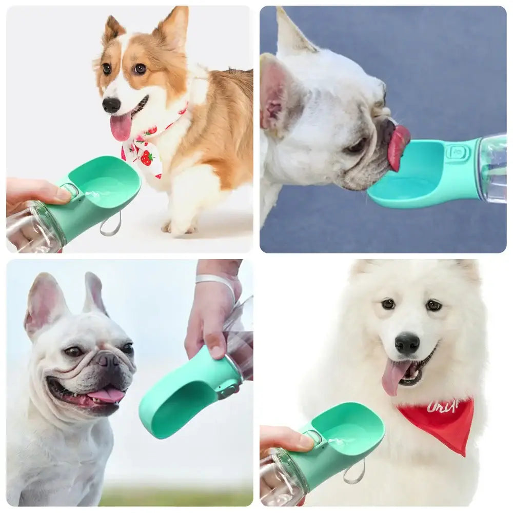Portable Dog Water Bottle For Small Large Dogs Cat Outdoor Leakproof Walking Drinking Bowls Chihuahua French Bulldog
