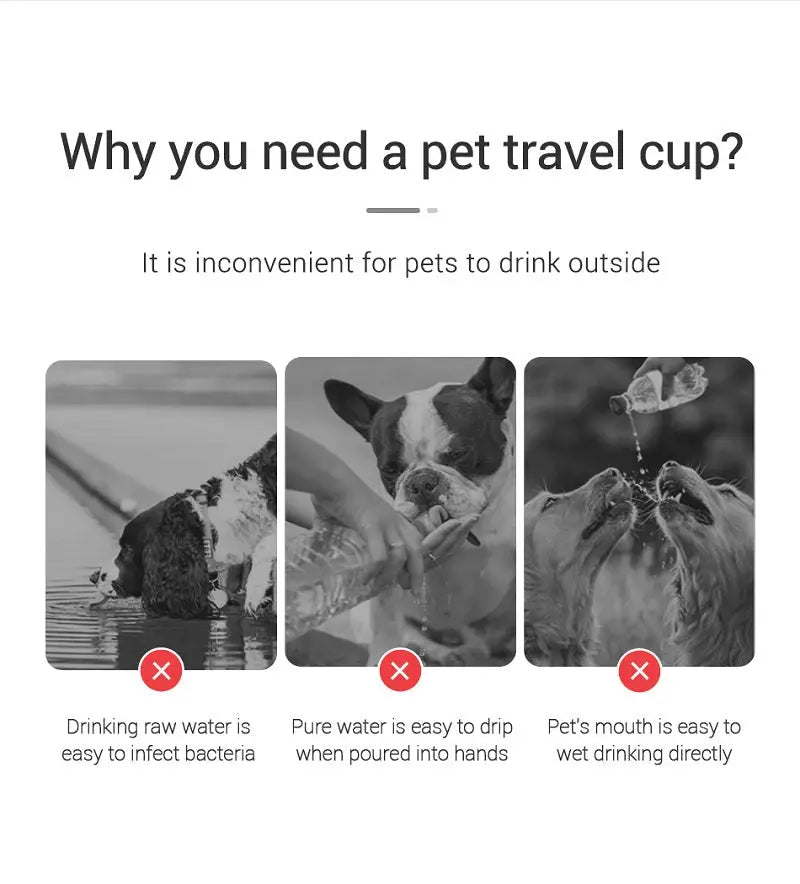 Portable Dog Water Bottle For Small Large Dogs Cat Outdoor Leakproof Walking Drinking Bowls Chihuahua French Bulldog