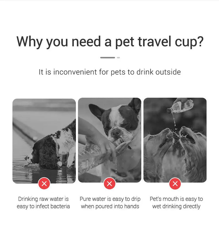 Portable Dog Water Bottle For Small Large Dogs Cat Outdoor Leakproof Walking Drinking Bowls Chihuahua French Bulldog