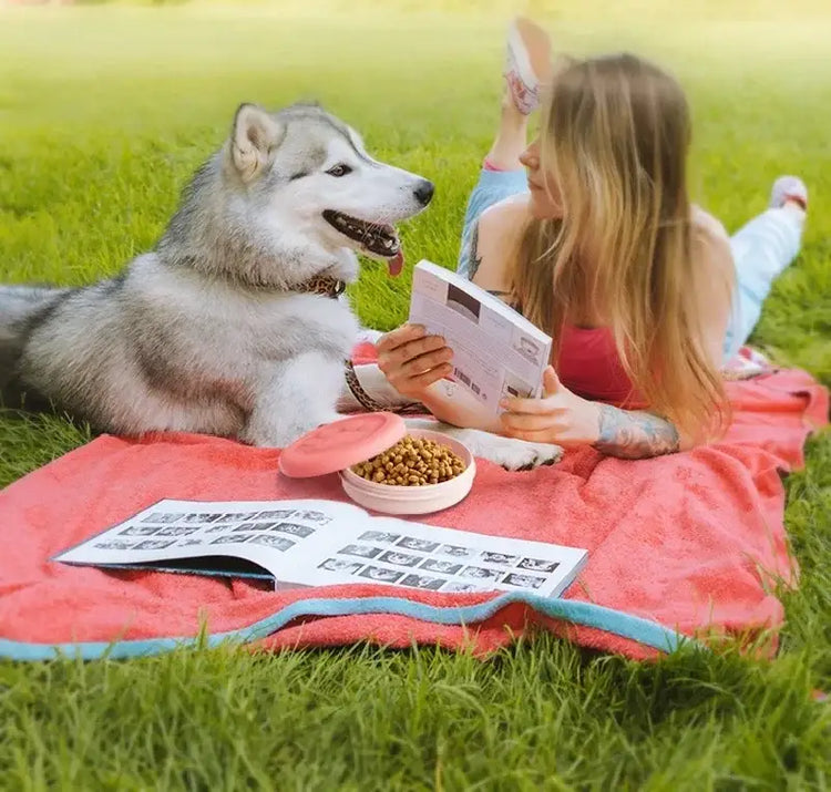 Portable Outdoor Pet Bowl: 2-in-1 Travel Dog Food/Water Dish with Treat Compartment for Hiking Camping and On-the-Go