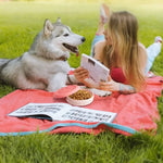 Portable Pet Bowl Set: Collapsible Outdoor Feeder with Snack Container for Dog & Cat Food on Hikes Camping and Travel