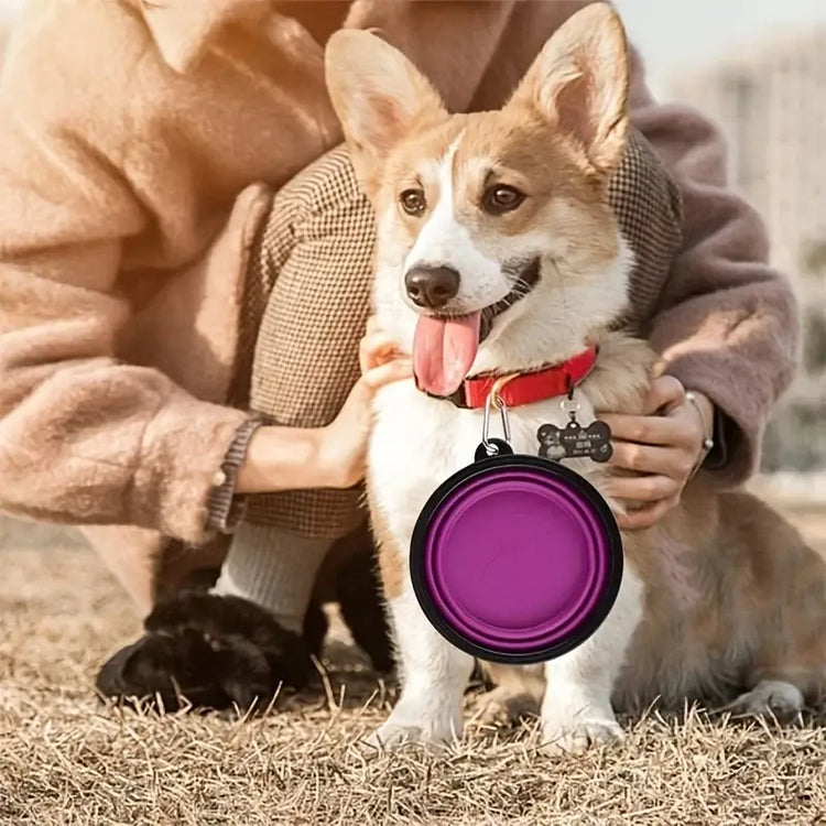 Portable Pet Food Bowl Durable TPR Bowl Cat and Dog Food Pet Silicone Collapsible Bowl Portable Travel Outdoor Water