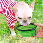 Portable Pet Food Bowl Durable TPR Bowl Cat and Dog Food Pet Silicone Collapsible Bowl Portable Travel Outdoor Water