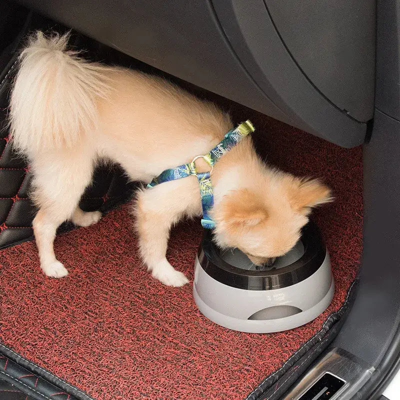 Portable Plastic Pet Dog Bowls No Spill Floating Design Non-Slip Cat Bowl Water Feeder Dry Mouth Support Pet Accessories