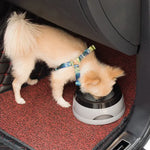 Portable Plastic Pet Dog Bowls No Spill Floating Design Non-Slip Cat Bowl Water Feeder Dry Mouth Support Pet Accessories