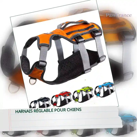 Harnais r&eacute;glable pour chiens by@Outfy
