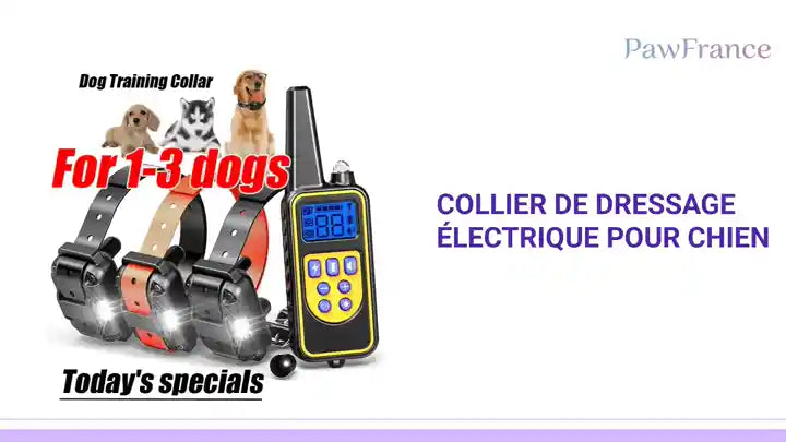 Collier de dressage &eacute;lectrique pour chien by@Outfy