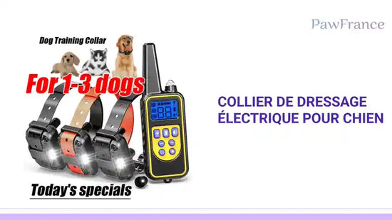 Collier de dressage &eacute;lectrique pour chien by@Outfy