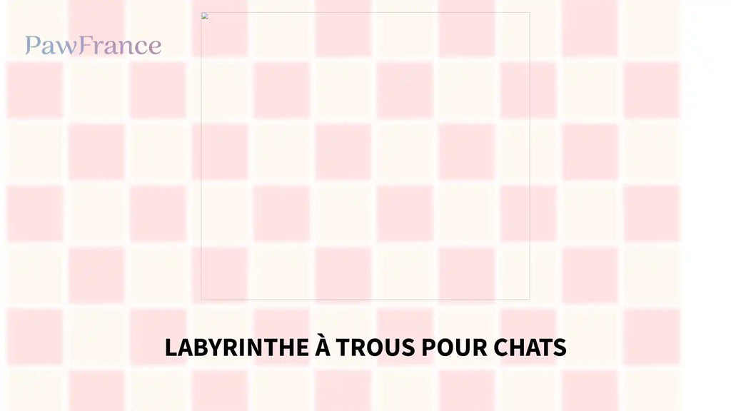 Labyrinthe &agrave; trous pour chats by@Outfy