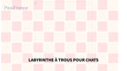 Labyrinthe &agrave; trous pour chats by@Outfy