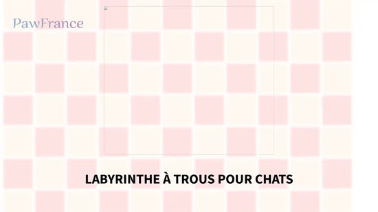 Labyrinthe &agrave; trous pour chats by@Outfy