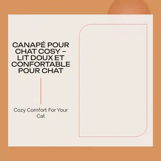 Canap&eacute; pour Chat Cosy &ndash; Lit Doux et Confortable pour Chat by@Outfy