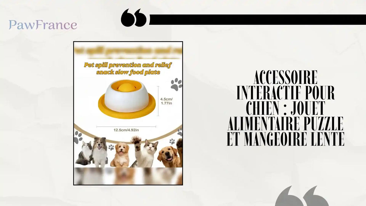 Accessoire interactif pour chien : jouet alimentaire puzzle et mangeoire lente by@Outfy