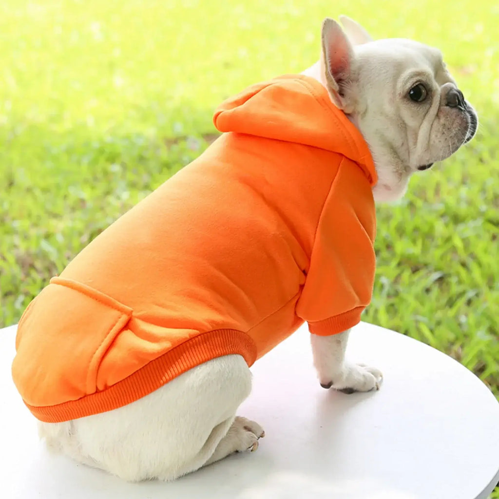 Pull à capuche uni - orange / S