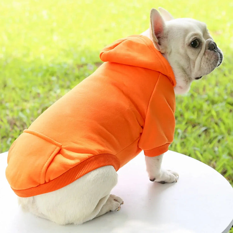 Pull à capuche uni - orange / S