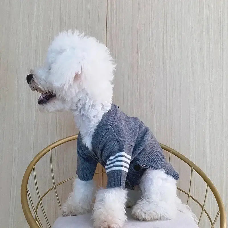 Pull en maille chat