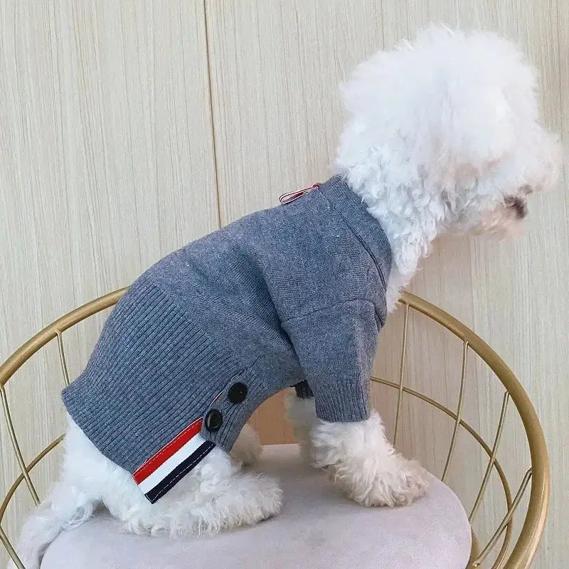 Pull en maille chat