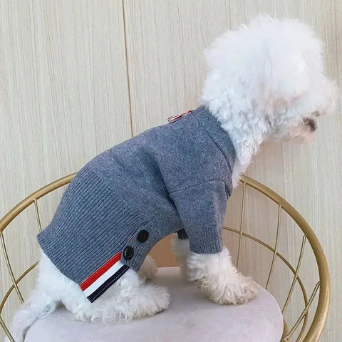 Pull en maille chat