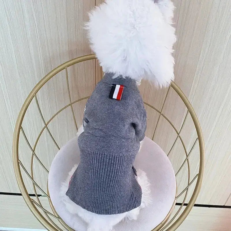 Pull en maille chat