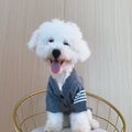 Pull en maille chat - Dark gray / L4.00 kg-5.00 kg