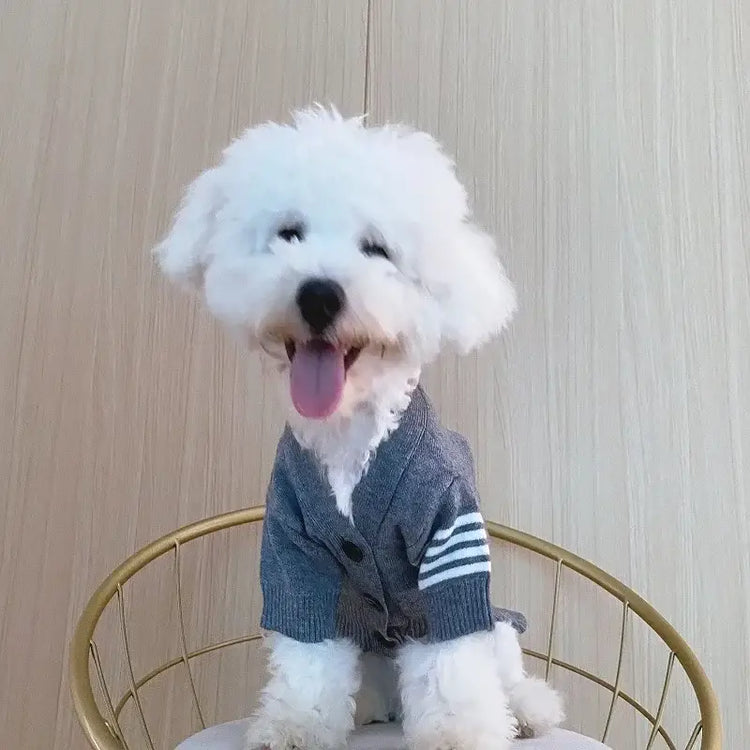 Pull en maille chat - Dark gray / L4.00 kg-5.00 kg