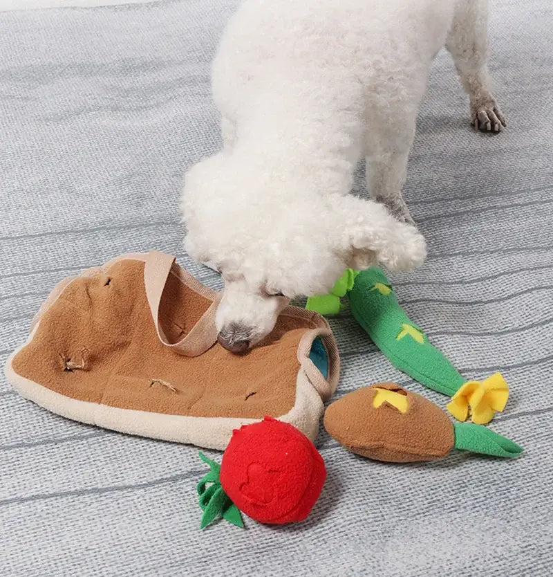 Puzzle Feeding Toy & Anxiety Relief Basket - Slow Feeder Mental Stimulation Interactive Snuffle Mat for Dogs with Treat