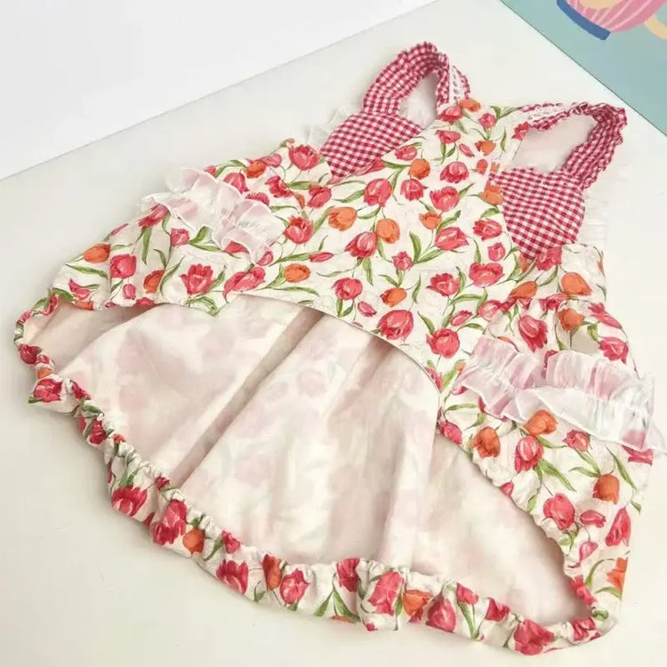 Robe d’été pour grand chien