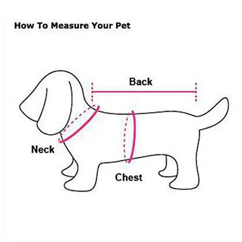 Robe d’été pour grand chien