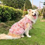 Robe fine en maille pour animaux