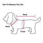 Robe pour gros chien