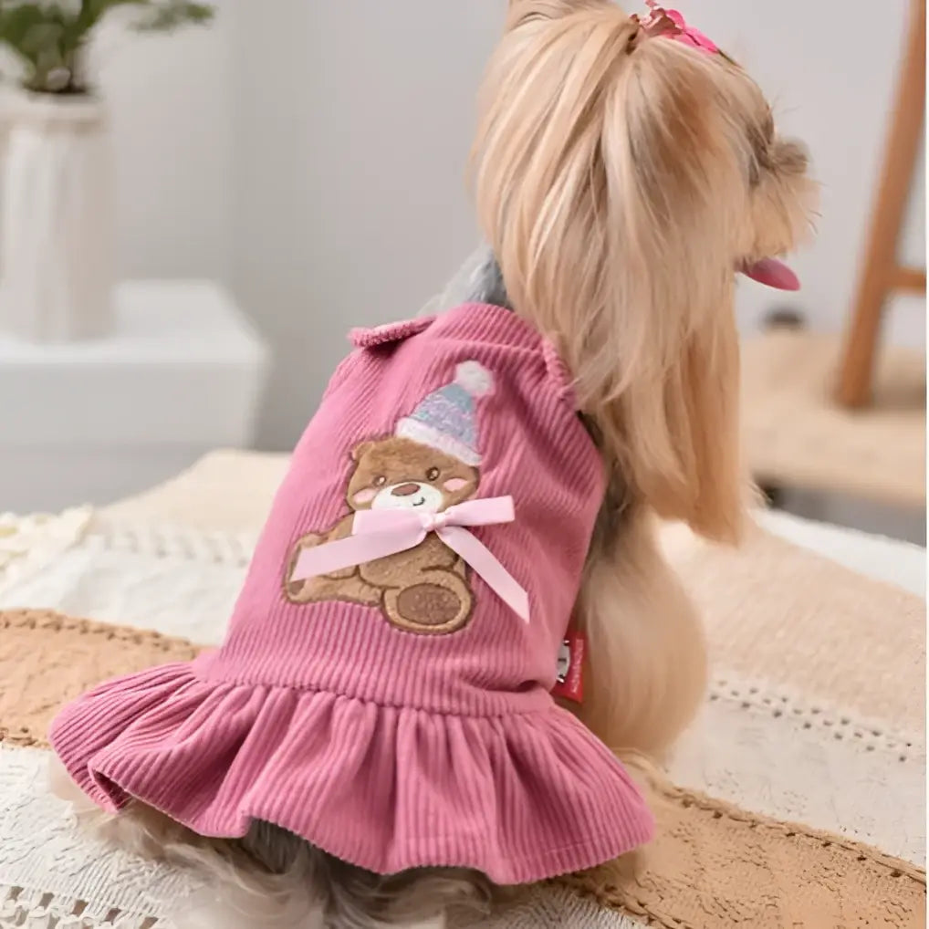 Robes mignonnes pour chiennes