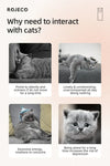 ROJECO Automatic Cat Toys Interactive Smart Teasing Pet LED Laser Indoor Cat Toy Accessories Handheld Electronic Cat