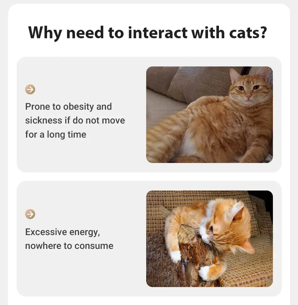 ROJECO Automatic Pet Toy Interactive Adjustable Electric Cat Laser Toy Indoor Smart Teasing Laser Cat Toy For Kitty Dog