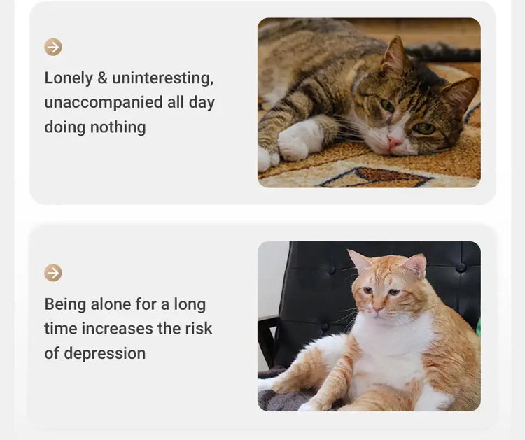 ROJECO Automatic Pet Toy Interactive Adjustable Electric Cat Laser Toy Indoor Smart Teasing Laser Cat Toy For Kitty Dog