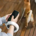 Roulette de ruban LED avec laisse pour chien 3M