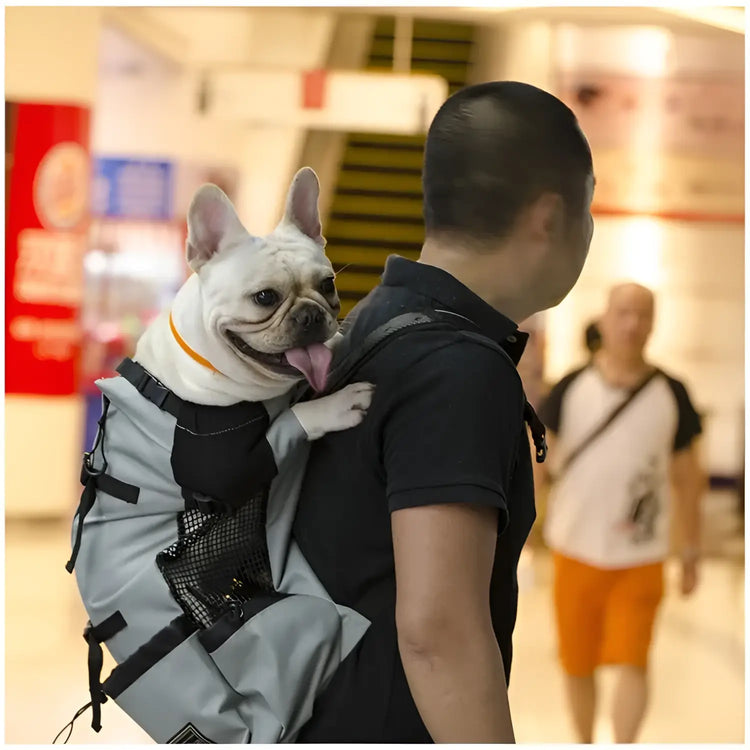 Sac de transport pour chien de randonnée - Grey / L(9-11kgs)