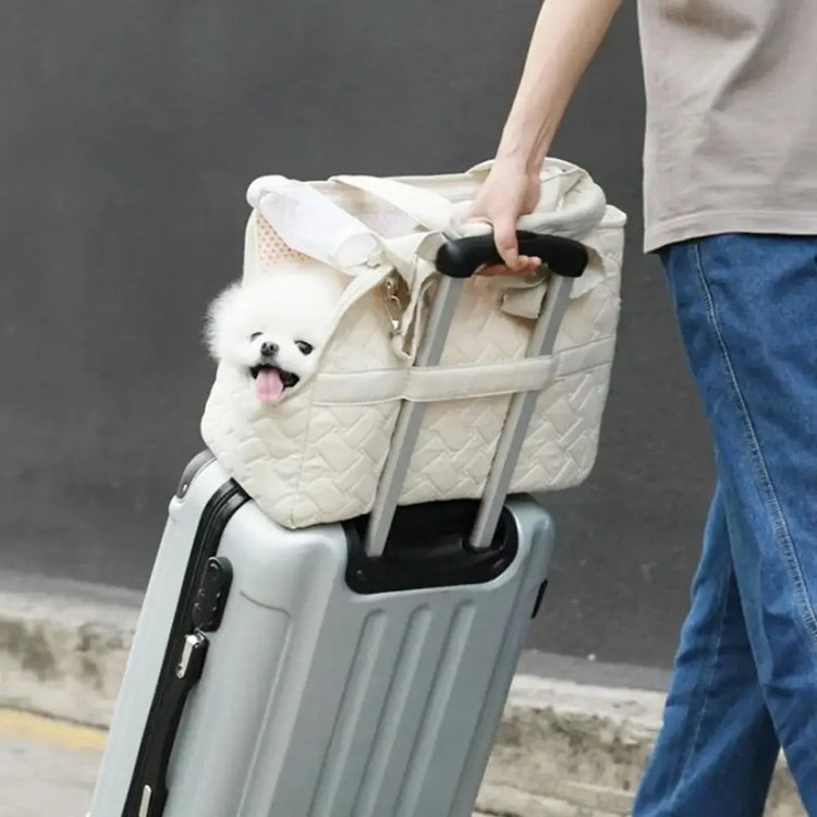 sac de transport pour chat