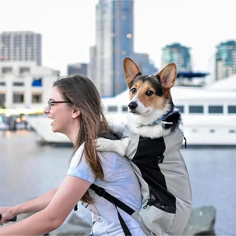 Sac de transport pour chien en nylon résistant