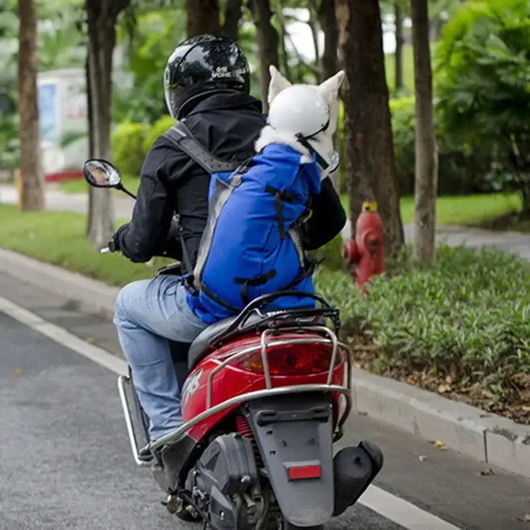 Sac de transport pour chien en nylon résistant
