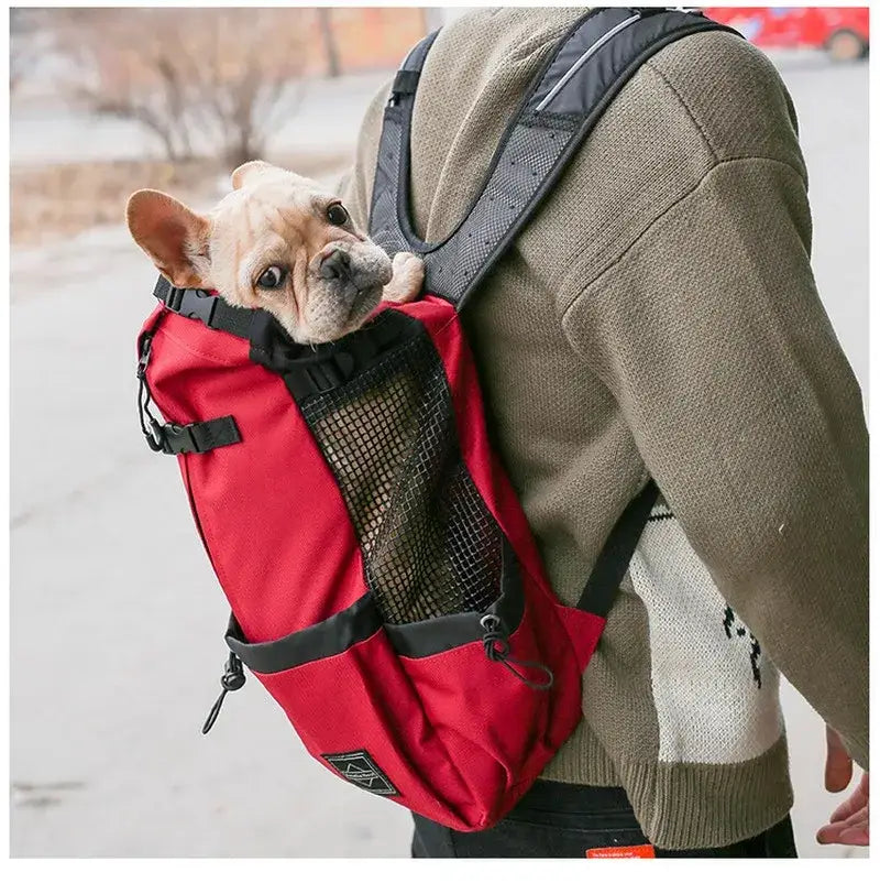Sac de transport pour chien de randonnée