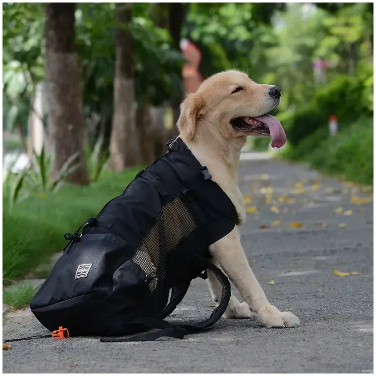 Sac de transport pour chien de randonnée - Black / XL(12-15kgs)