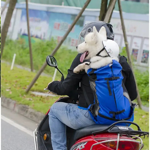 Sac de transport pour chien de randonnée